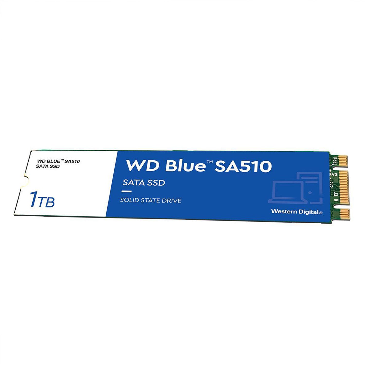 Western Digital Blue SA510 Internal Solid State Drive - 1TB SSD - SATA III - M.2 2280 (WDS100T3B0B)