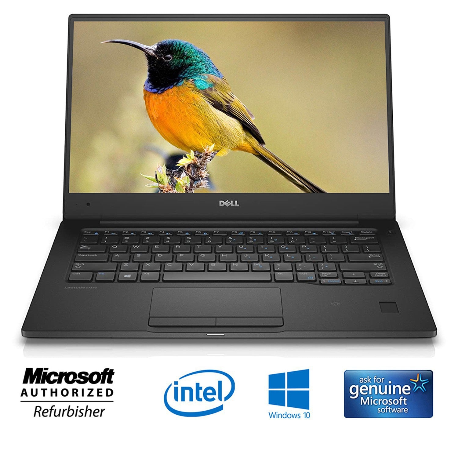 Dell Latitude 7370 13.3” FHD (1920x1080) Business Laptop Intel Core M7-6Y75, 8GB RAM-512GB SSD (Type C Port, Mini HDMI) Win 10 Pro, Refurbished