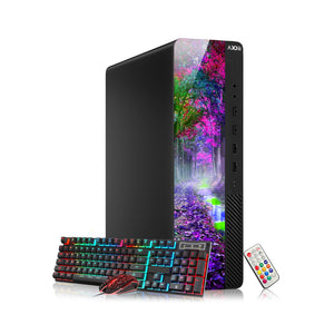 AXOII FLORA RGB Desktop PC - Intel Core i7 / i5, 16GB RAM, NVMe SSD (256GB / 512GB), WiFi, Bluetooth, Windows 11 Pro - Refurbished